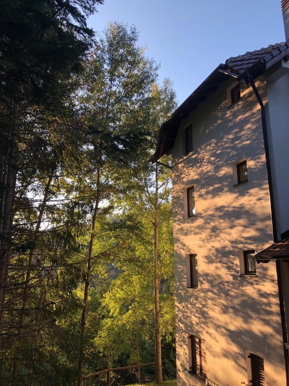Stara Bacija Apartment Kopaonik Luaran gambar