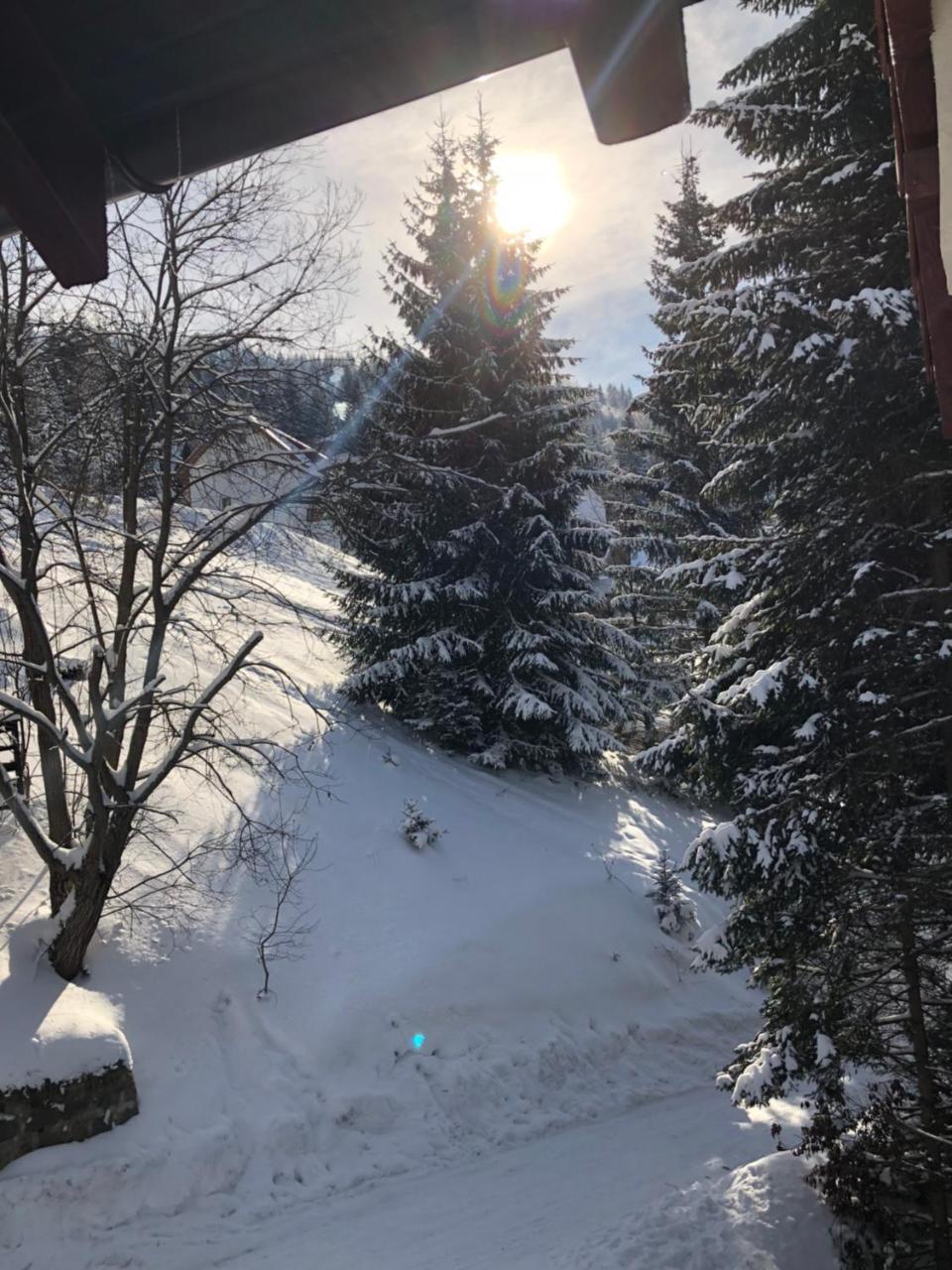 Stara Bacija Apartment Kopaonik Luaran gambar