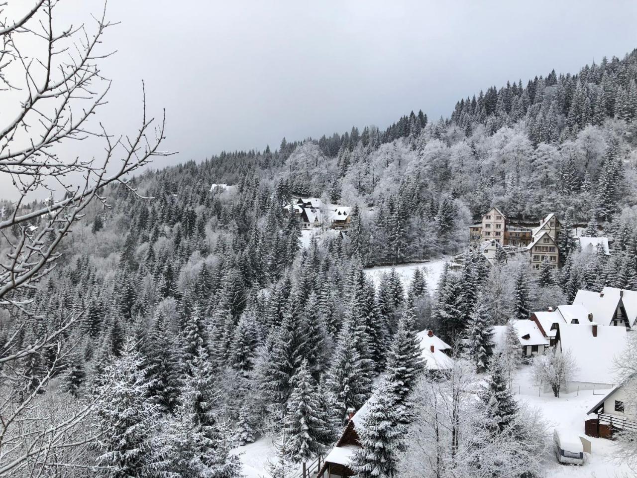 Stara Bacija Apartment Kopaonik Luaran gambar